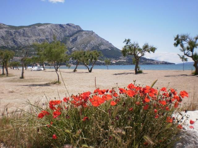Apartment Danka Omiš Extérieur photo